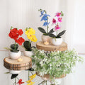 FLOR C/VASO SORT L1610267 REF.S24689