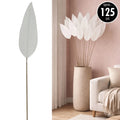 FLOR CX284 REF.S46146