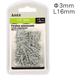Parafusos Autoroscante 3x16MM