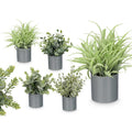 Vaso Cilindrico Com Planta Verde Sortido 4