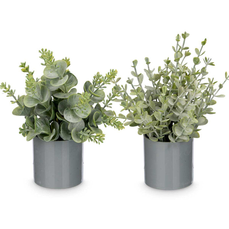 Vaso Cilindrico Com Planta Verde Sortido 4